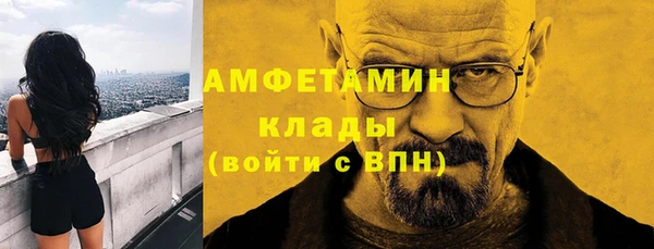 ПСИЛОЦИБИНОВЫЕ ГРИБЫ Осинники