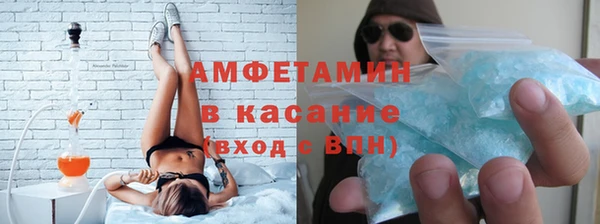 ПСИЛОЦИБИНОВЫЕ ГРИБЫ Осинники
