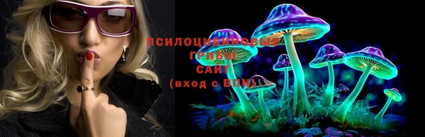 ПСИЛОЦИБИНОВЫЕ ГРИБЫ Осинники