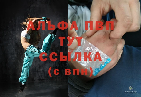 ПСИЛОЦИБИНОВЫЕ ГРИБЫ Осинники
